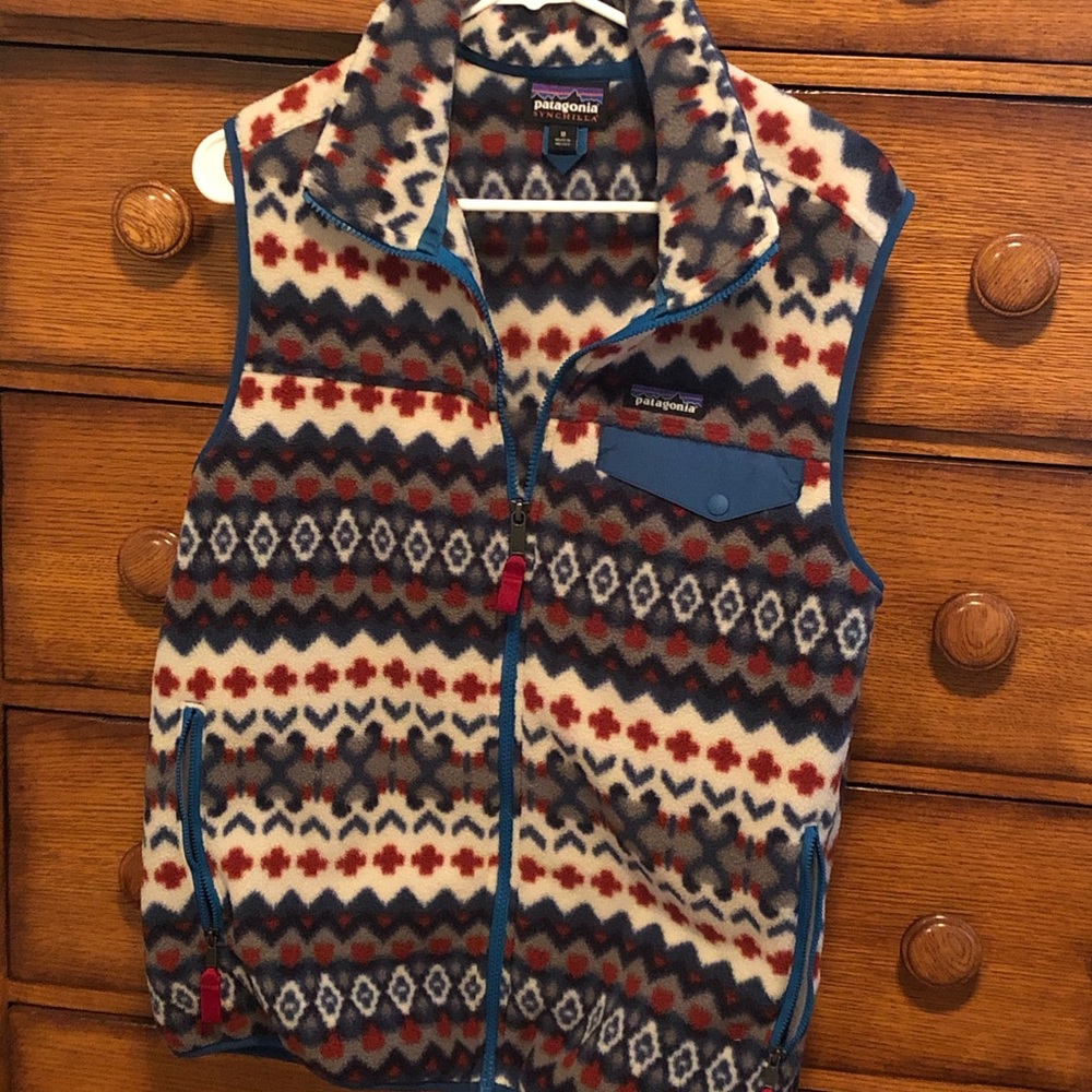Men’s Patagonia Synchilla Fleece Vest